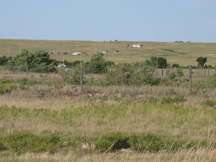 prairie landscape