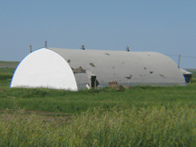 Old quonset building in Ideal.