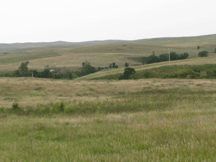 Landscape along Highway 18 near Upper Cut Meat.