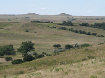 Horse Creek landscape view.