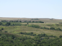 Horse Creek landscape view.
